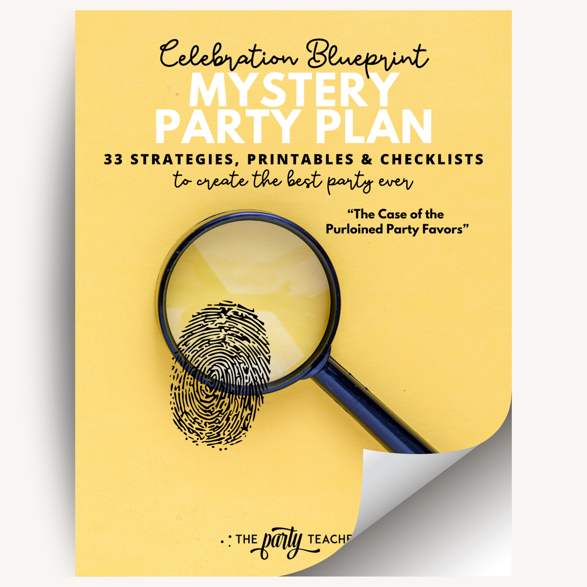 Mystery Birthday Party Plan INSTANT DOWNLOAD