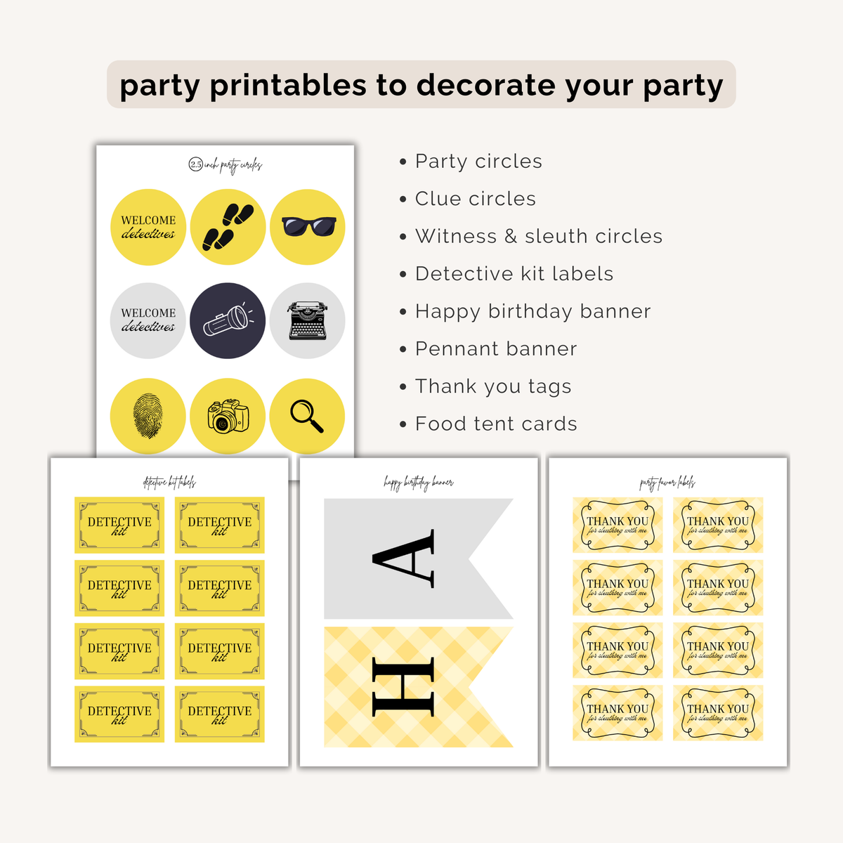 Mystery Birthday Party Plan INSTANT DOWNLOAD