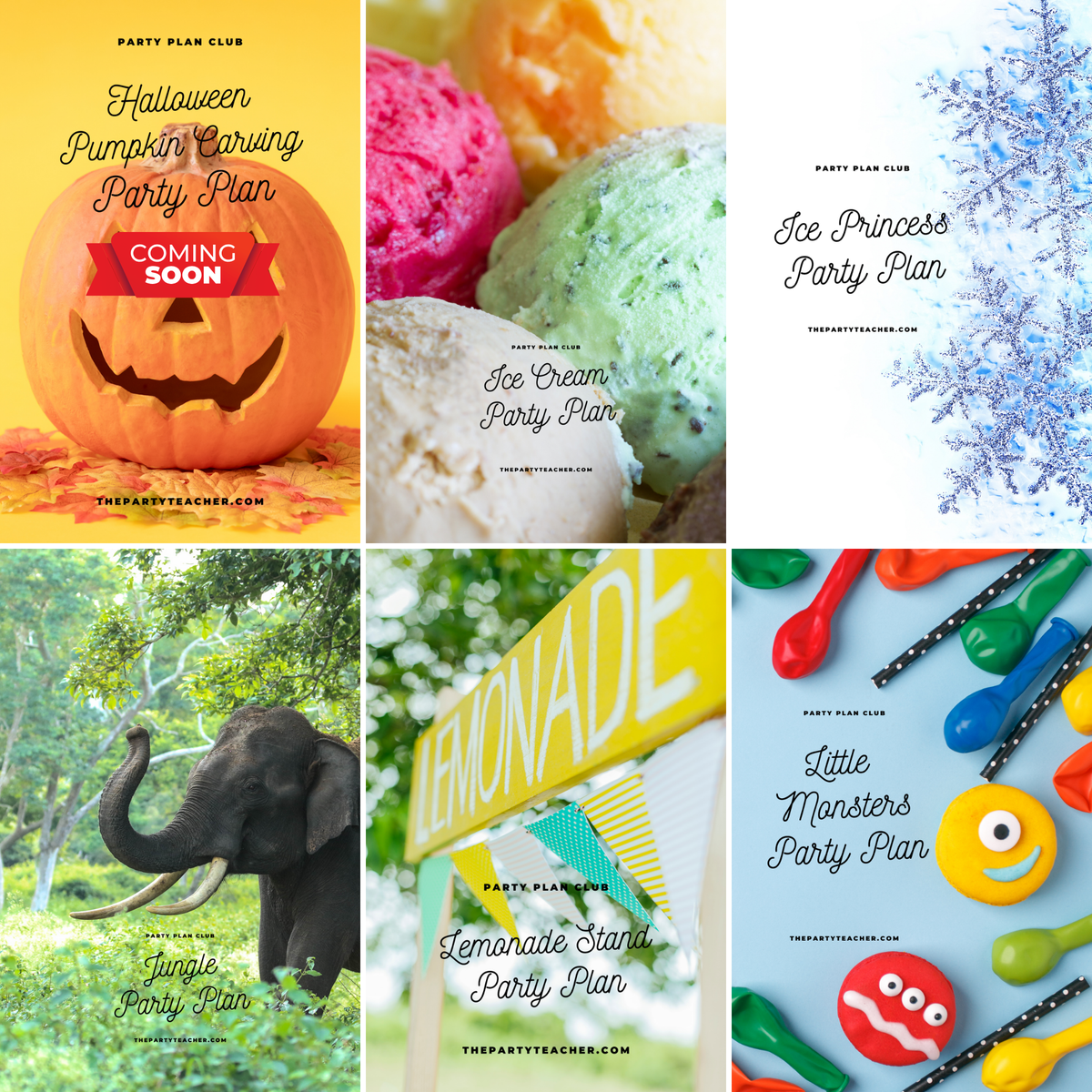 The Party Plan Club — Your Child's Birthday Party Is Already Planned!