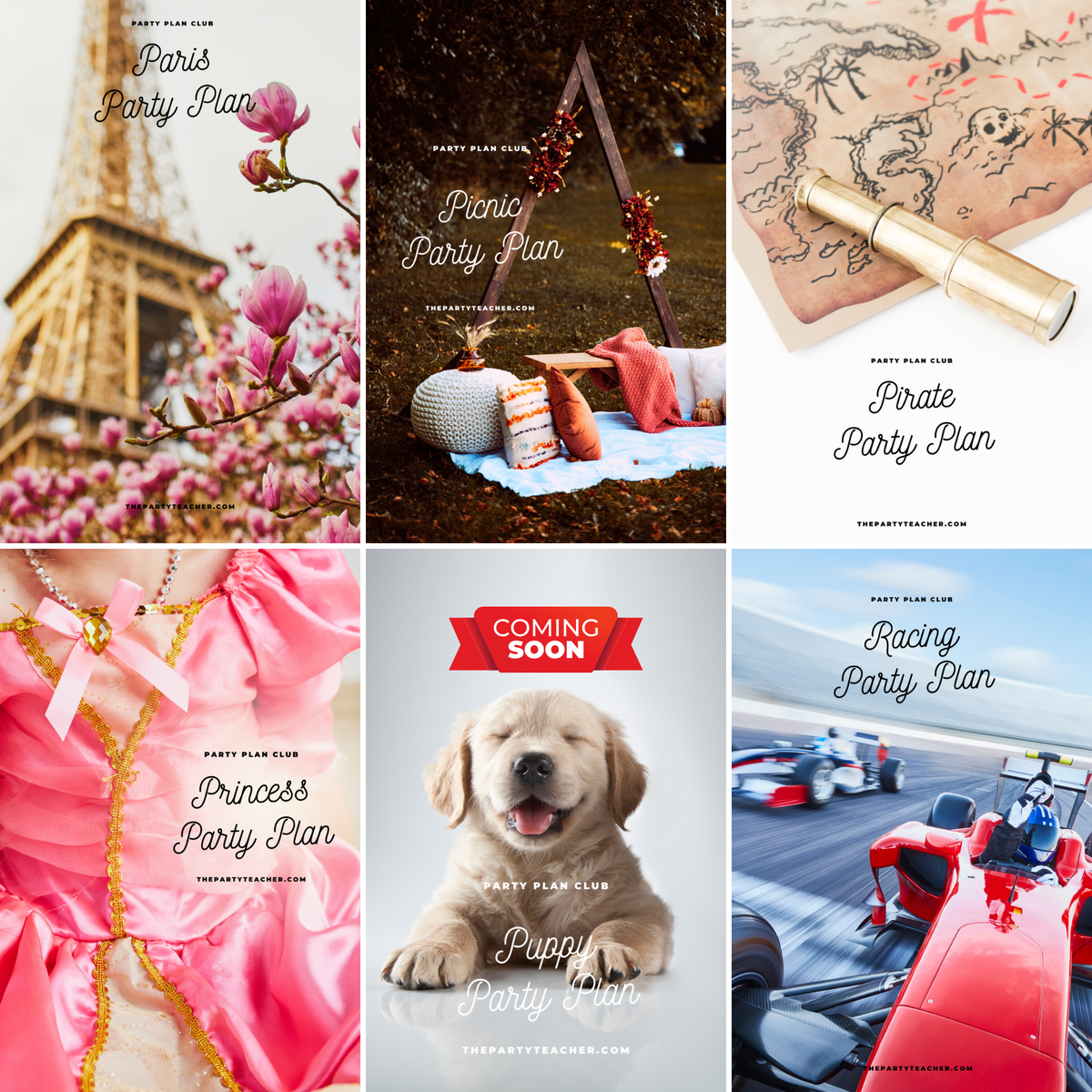 The Party Plan Club — Your Child's Birthday Party Is Already Planned!