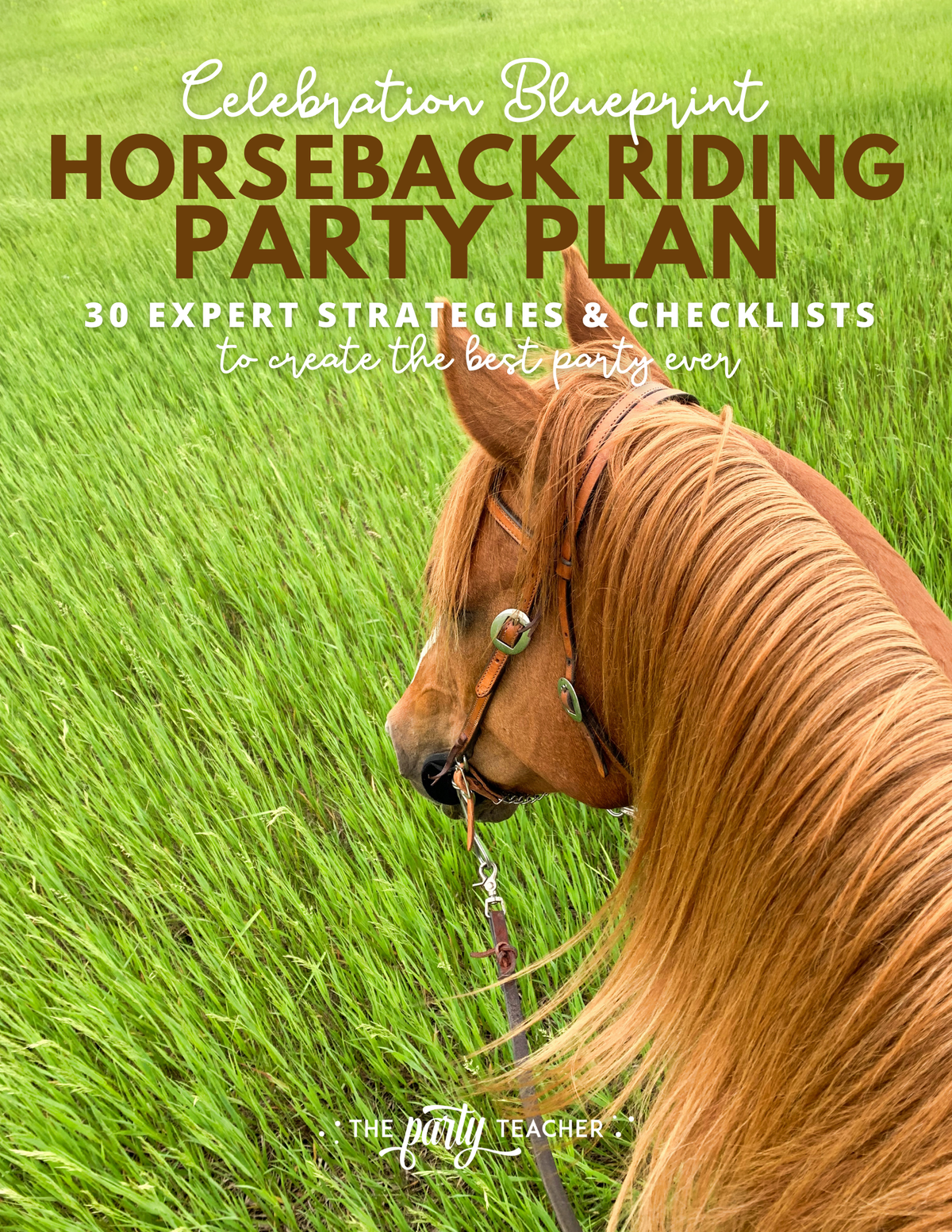 Horseback Riding Birthday Party Plan INSTANT DOWNLOAD